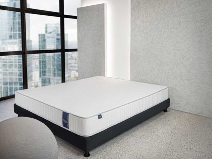 Матрас Materlux Ecologic Dream 43